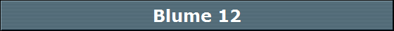 Blume 12