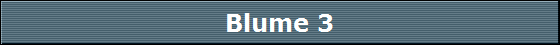 Blume 3