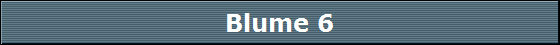 Blume 6