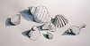Muscheln und Schnecken II
