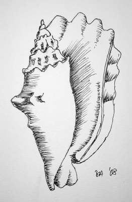 Schnecke I