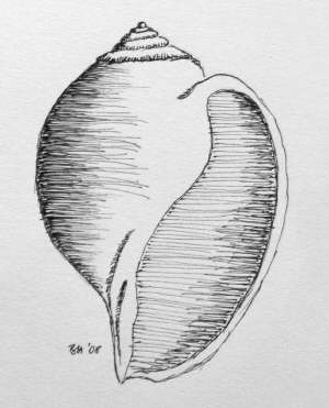 Schnecke II