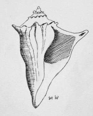 Schnecke III