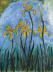 Gelbe Iris