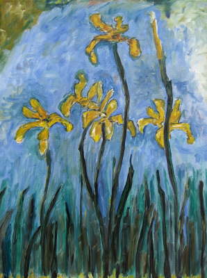 Gelbe Iris
