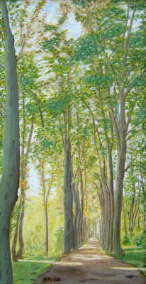 Historische Allee im Langenhagener Stadtwald