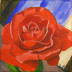 Blume 3