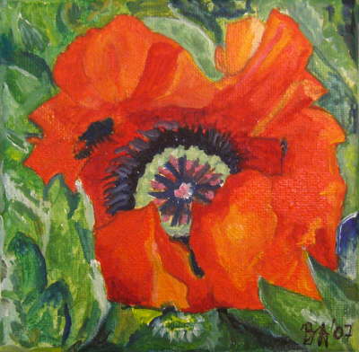 Blume 12