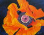 Hedis Mohn